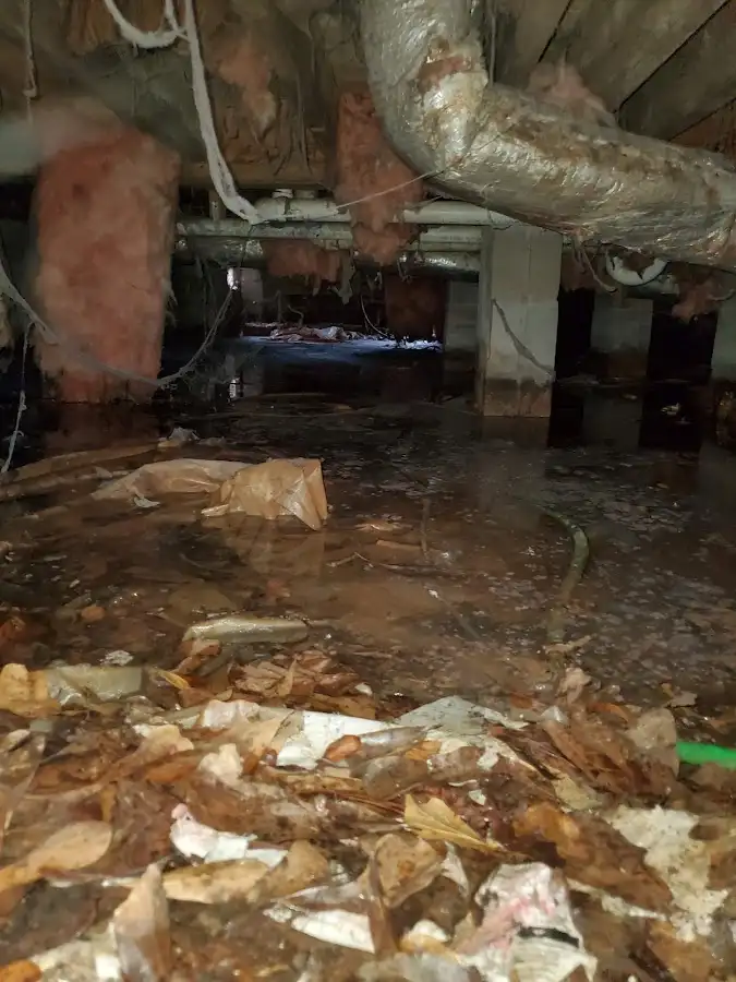 Crawl space flood assessment for Leak Detection & Repair in Port Orchard