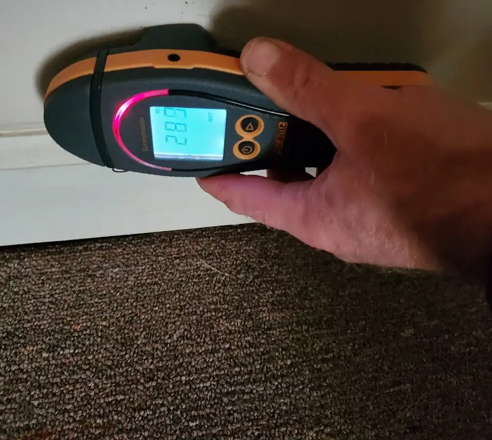 Moisture detection at baseboard during Sewage Cleanup & Sanitation in Port Orchard
